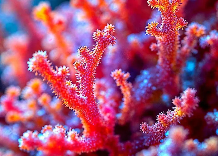 Casa Ronga 3* 萨莱诺